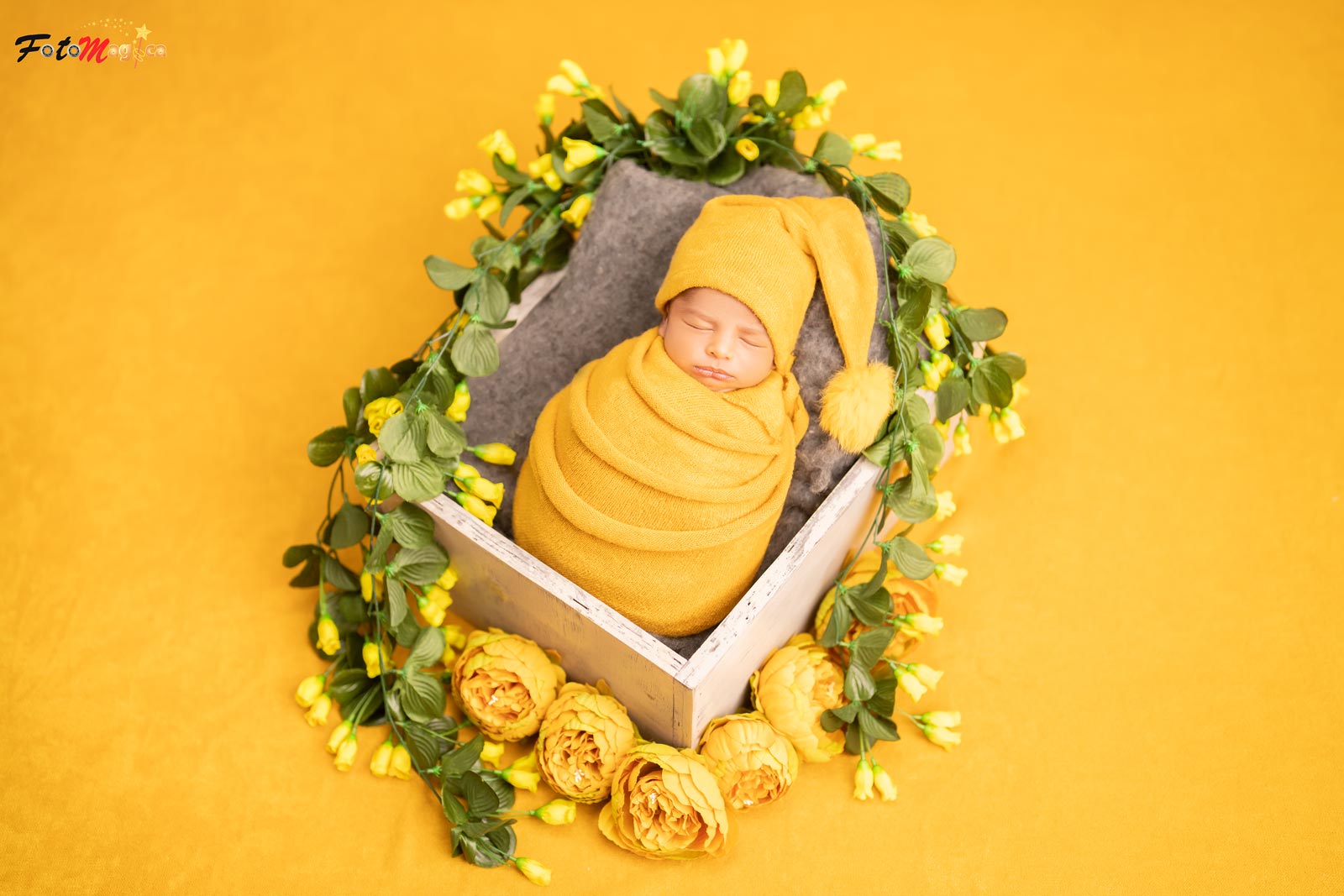 DSC03222 copy copys-2.jpg